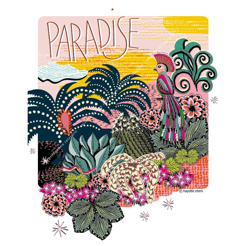 Paradise polaroid